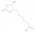 Thumbnail for version as of 16:09, 9 September 2008