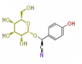 Thumbnail for version as of 16:05, 17 June 2010