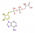 Thumbnail for version as of 16:08, 19 June 2009