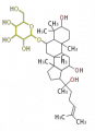 Thumbnail for version as of 11:45, 15 February 2010