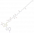 Thumbnail for version as of 16:09, 9 September 2008