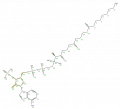 Thumbnail for version as of 13:49, 2 February 2009