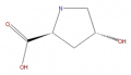 Thumbnail for version as of 16:13, 9 September 2008