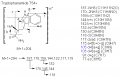 Thumbnail for version as of 22:47, 4 March 2011