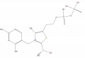 Thumbnail for version as of 16:09, 9 September 2008