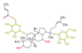 Thumbnail for version as of 12:45, 16 February 2010