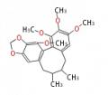Thumbnail for version as of 12:38, 10 December 2009