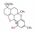 Thumbnail for version as of 12:09, 26 March 2010