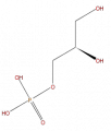Thumbnail for version as of 16:09, 9 September 2008
