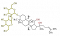 Thumbnail for version as of 11:31, 15 February 2010
