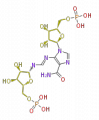 Thumbnail for version as of 17:56, 17 June 2010