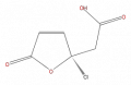 Thumbnail for version as of 16:09, 9 September 2008