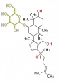 Thumbnail for version as of 10:44, 15 February 2010