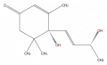 Thumbnail for version as of 16:09, 9 September 2008