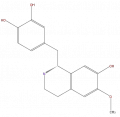 Thumbnail for version as of 16:09, 9 September 2008