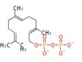 Thumbnail for version as of 09:56, 12 December 2011