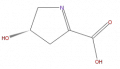 Thumbnail for version as of 16:09, 9 September 2008