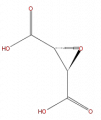 Thumbnail for version as of 16:10, 9 September 2008