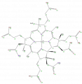 Thumbnail for version as of 13:50, 2 February 2009
