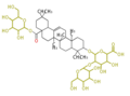 Thumbnail for version as of 15:14, 15 February 2010