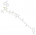 Thumbnail for version as of 13:50, 2 February 2009