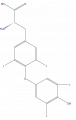 Thumbnail for version as of 16:13, 9 September 2008