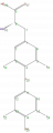 Thumbnail for version as of 13:50, 2 February 2009