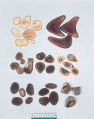 Thumbnail for version as of 14:37, 2 July 2010