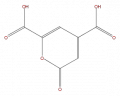 Thumbnail for version as of 16:09, 9 September 2008