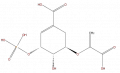 Thumbnail for version as of 16:09, 9 September 2008