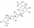 Thumbnail for version as of 14:46, 2 March 2010