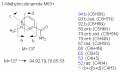 Thumbnail for version as of 22:47, 4 March 2011