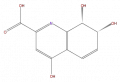 Thumbnail for version as of 16:09, 9 September 2008