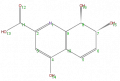 Thumbnail for version as of 13:50, 2 February 2009