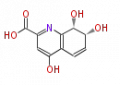 Thumbnail for version as of 12:52, 16 June 2010