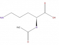Thumbnail for version as of 16:09, 9 September 2008