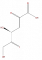 Thumbnail for version as of 16:09, 9 September 2008