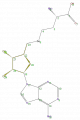 Thumbnail for version as of 13:50, 2 February 2009