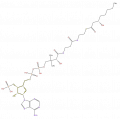 Thumbnail for version as of 16:09, 9 September 2008