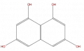 Thumbnail for version as of 16:09, 9 September 2008