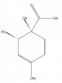 Thumbnail for version as of 16:10, 9 September 2008