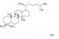 Thumbnail for version as of 01:23, 17 July 2010