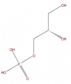 Thumbnail for version as of 16:10, 9 September 2008