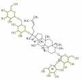 Thumbnail for version as of 09:04, 10 December 2009