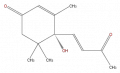 Thumbnail for version as of 16:09, 9 September 2008