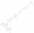 Thumbnail for version as of 16:09, 9 September 2008