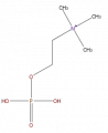 Thumbnail for version as of 16:09, 9 September 2008