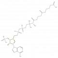 Thumbnail for version as of 16:09, 9 September 2008