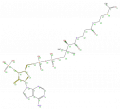Thumbnail for version as of 13:50, 2 February 2009