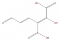 Thumbnail for version as of 16:09, 9 September 2008